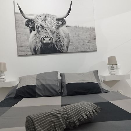 Apartamento Vista Casablanca Puerto de la Cruz  Zewnętrze zdjęcie